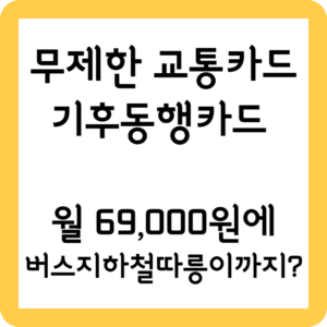 서울 원스톱 무제한 교통카드 기후동행카드 혜택 총정리